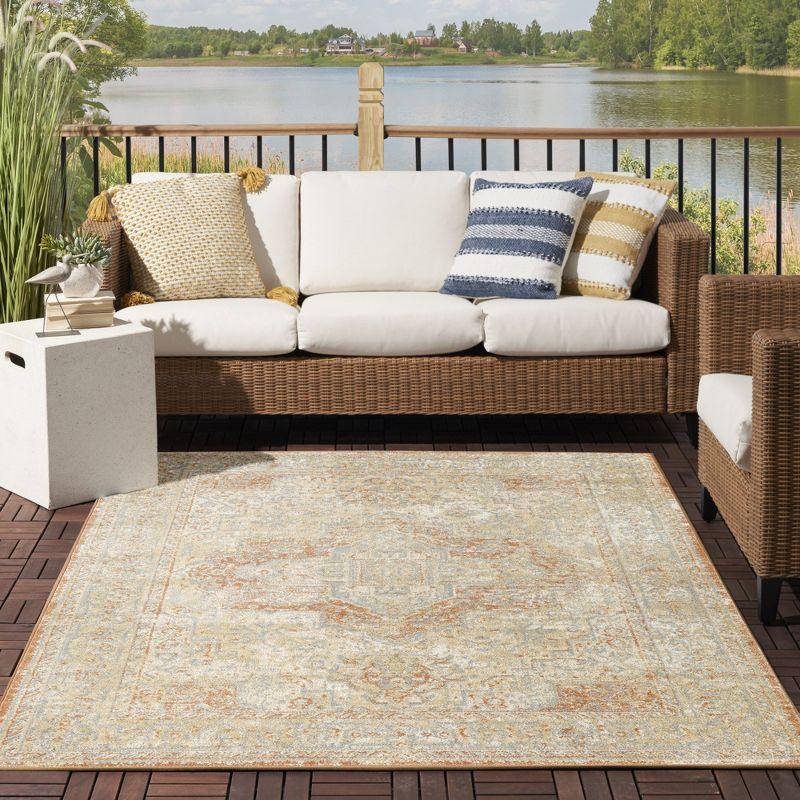 Nourison Essentials Persian Vintage Indoor Outdoor Area Rug