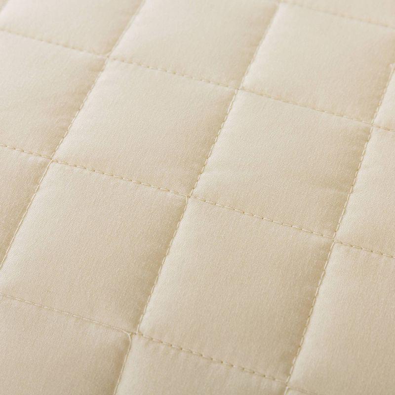 Twin Cream Down Alternative Velvet Trim Blanket