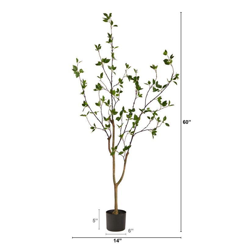 Faux Minimalist Citrus Tree 5'
