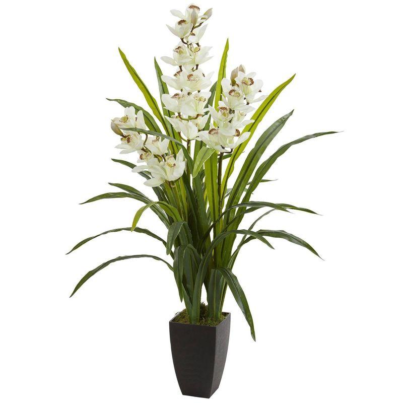 Elegant Summer White Cymbidium Orchid in Pot, 45" Tall