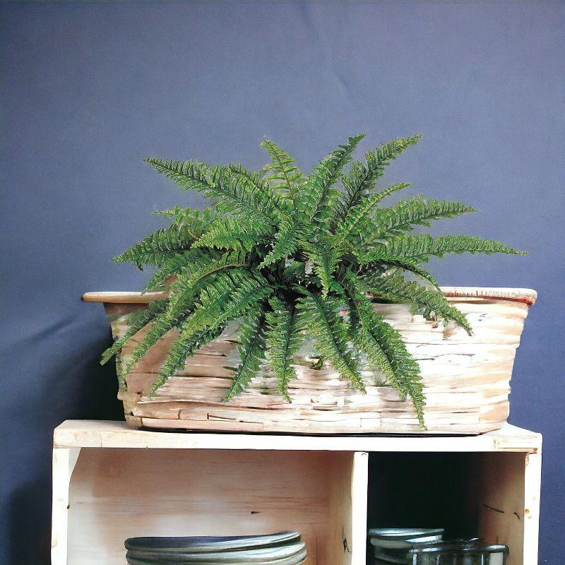 Floral Home 34" Wide Boston Fern with 42 Lifelike Fronds - 6-Piece