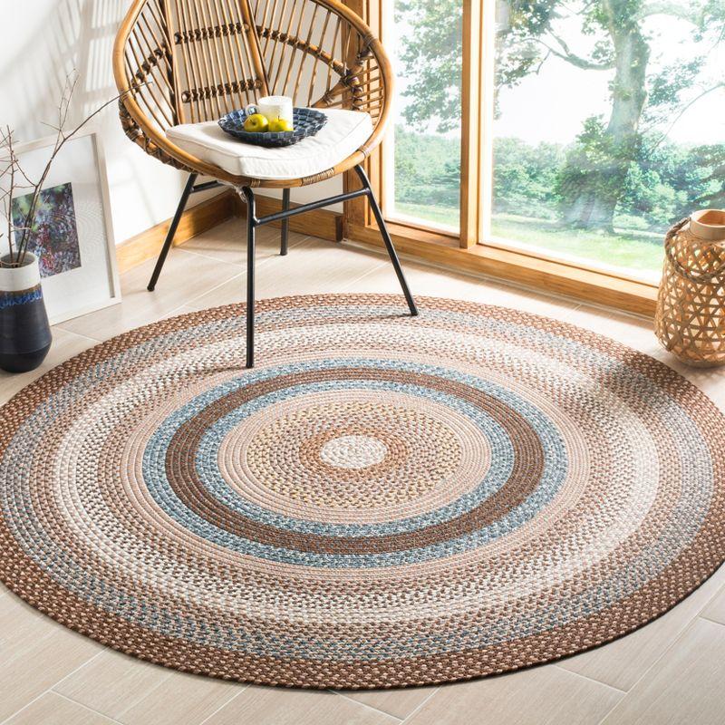 Braided BRD313 Hand Woven Area Rug  - Safavieh