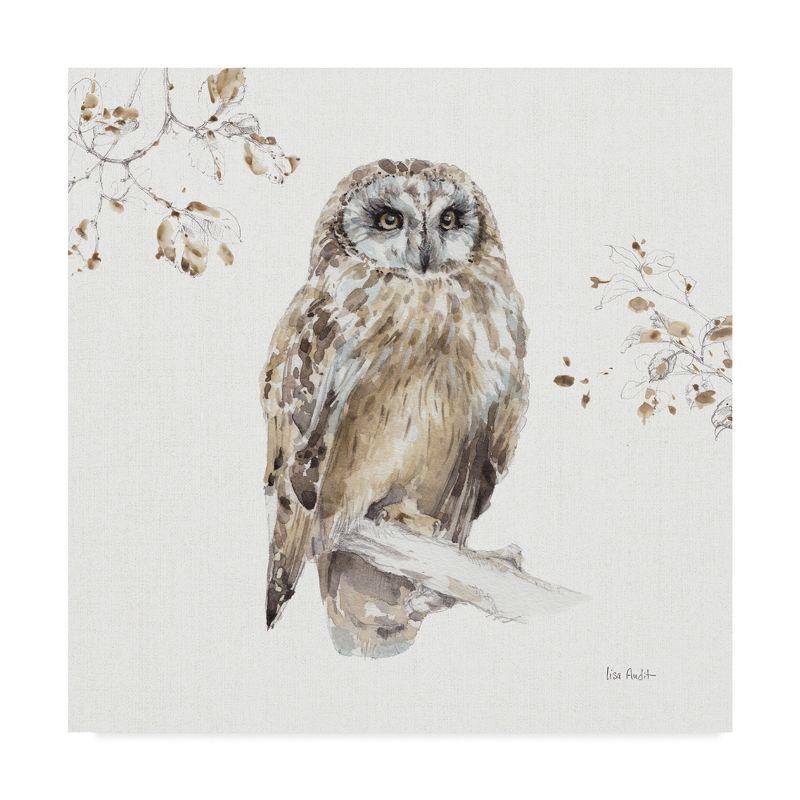 Lisa Audit 'Woodland Walk Viii Owl' Canvas Art - 14x14