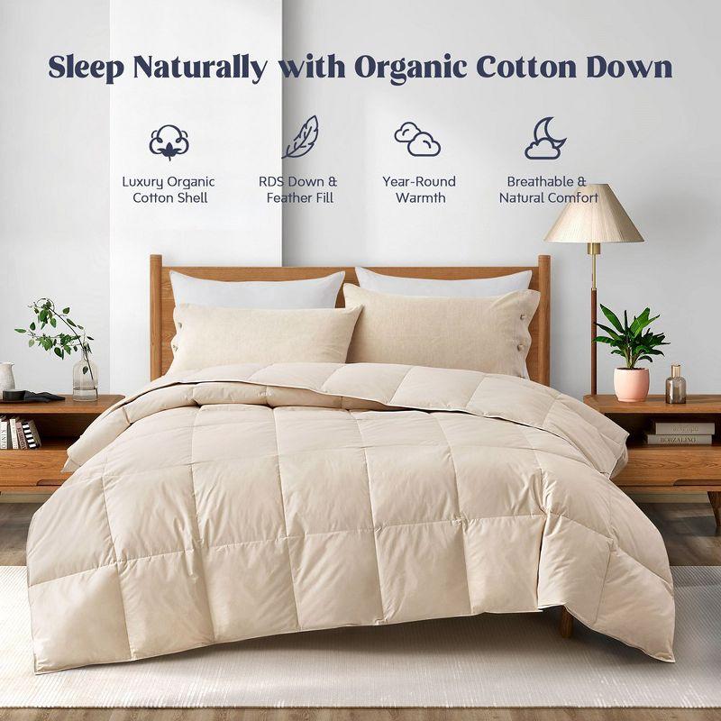 Puredown All Season Organic Cotton Down Comforter - 100% Natural, Chemical-Free, Medium Warmth Duvet Insert, Off-white, Full/Queen