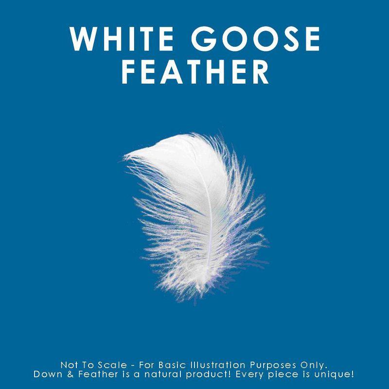 Canadian Down & Feather Company Quilted White Goose Feather Pillow - 2 Pack (Set of 2)