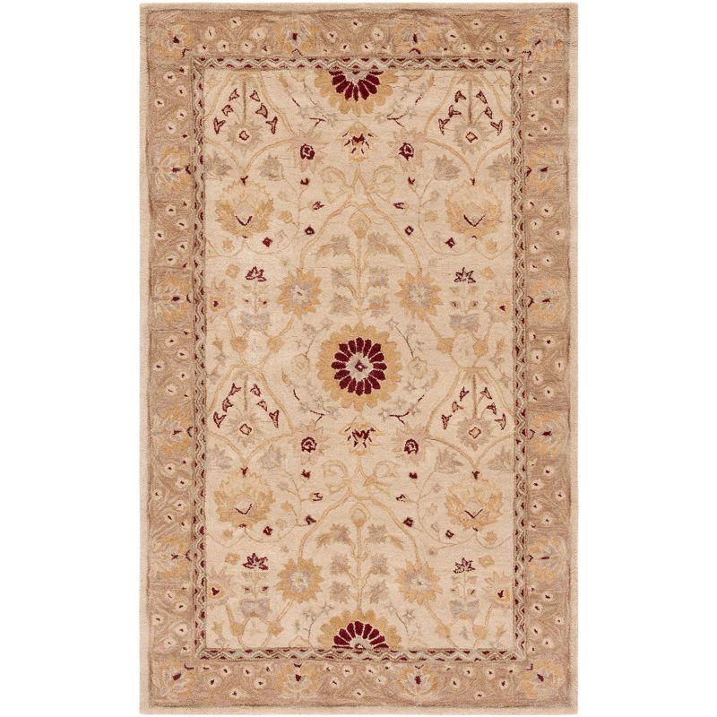 Anatolia AN550 Hand Tufted Area Rug - Sand/Walnut - 3'x5' - Safavieh.