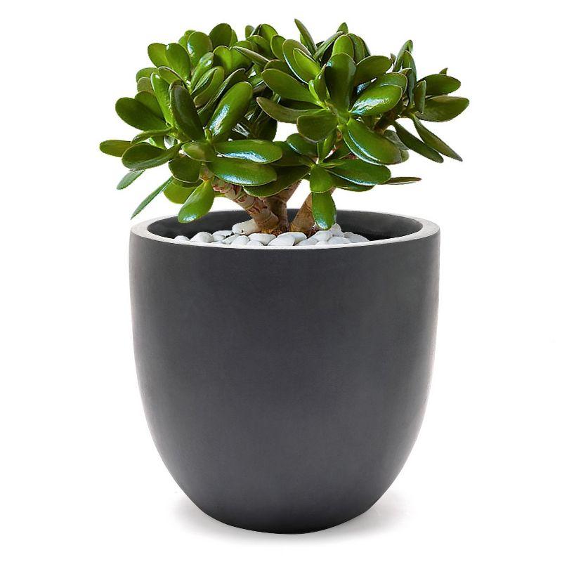 LuxenHome Round Tapered 9.2" H House Planter, Indoor/Outdoor Gray