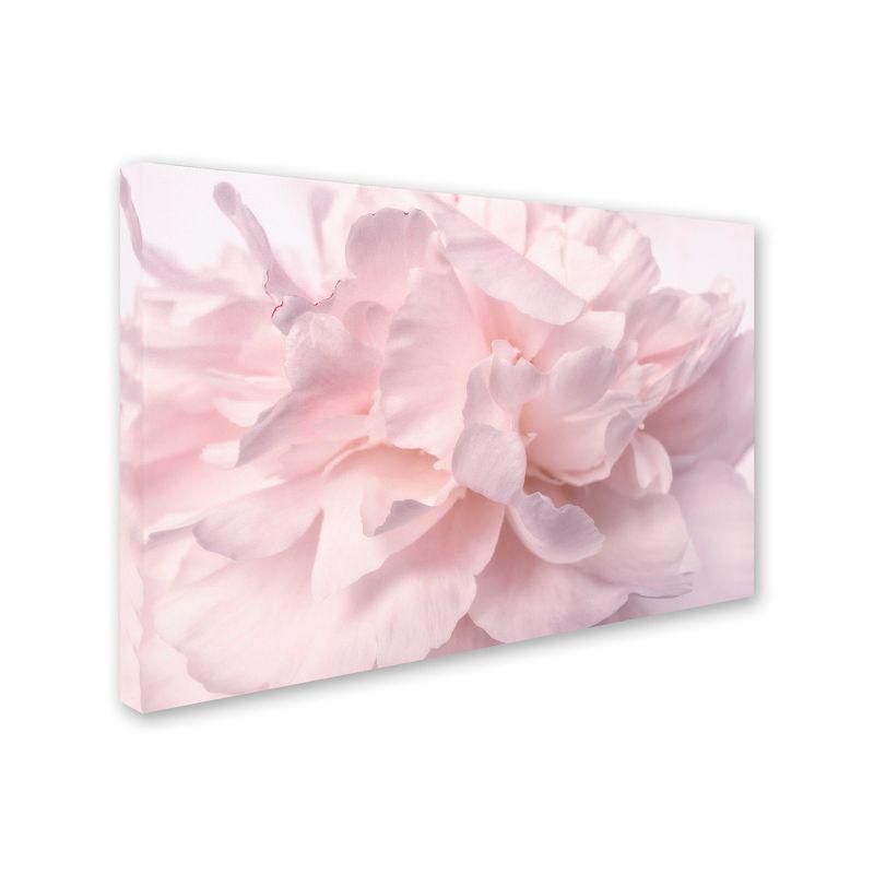 House of Hampton® " Pink Peony Petals II " by Cora Niele