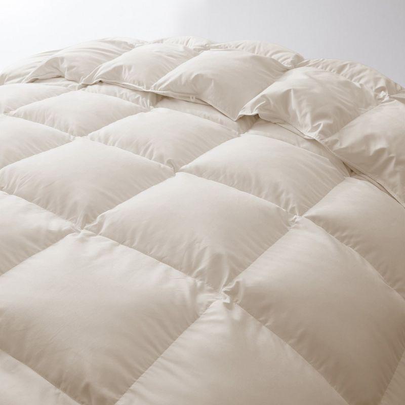 Alwyn Home 600in³/oz Fill Power Winter Goose Down Comforter