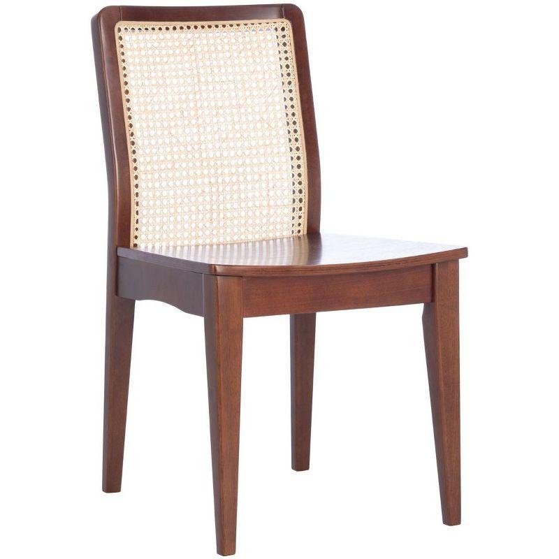 Benicio Coastal Dark Brown Rattan Dining Chair Set