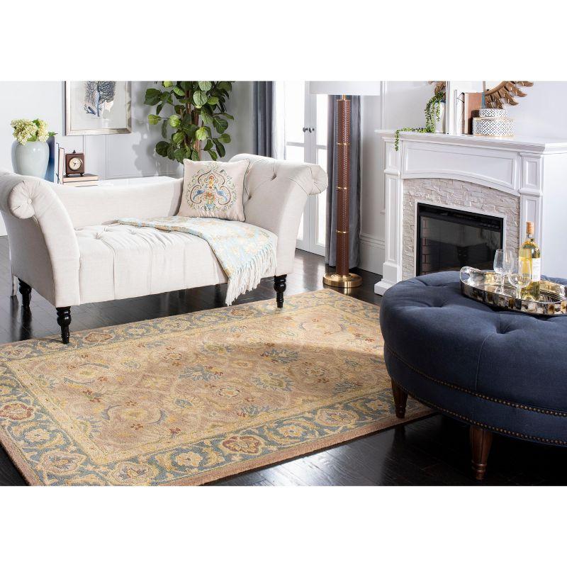 Anatolia AN549 Hand Tufted Indoor Accent Rug - Brown/Blue - 3'x5' - Safavieh