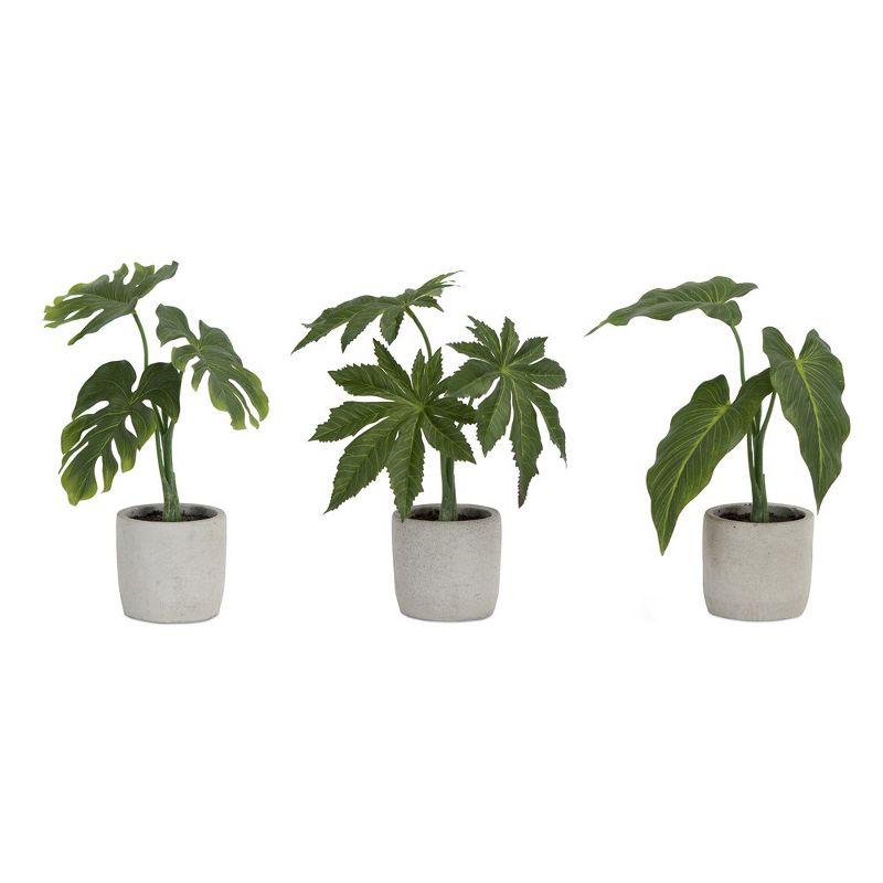 Set of 6 Green Potted Philodendron Plants with Grey Pots