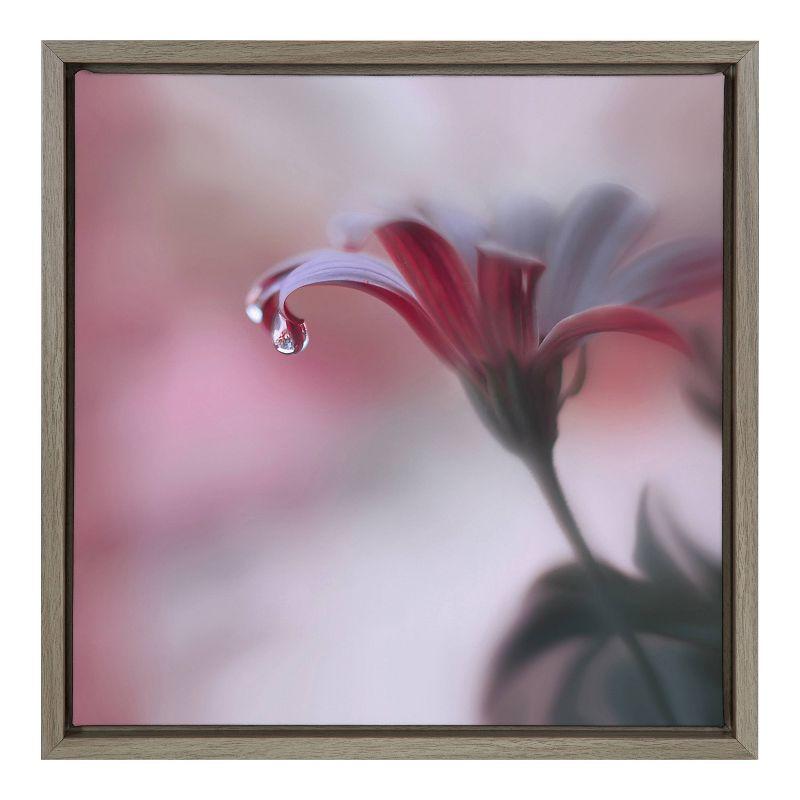 22" x 22" Magenta Anemone Framed Canvas Wall Art