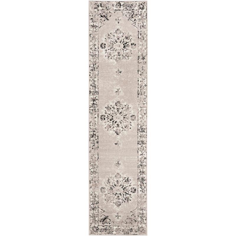 Skyler SKY169 Power Loomed Indoor Runner Rug - Grey/Ivory - 2'x10' - Safavieh