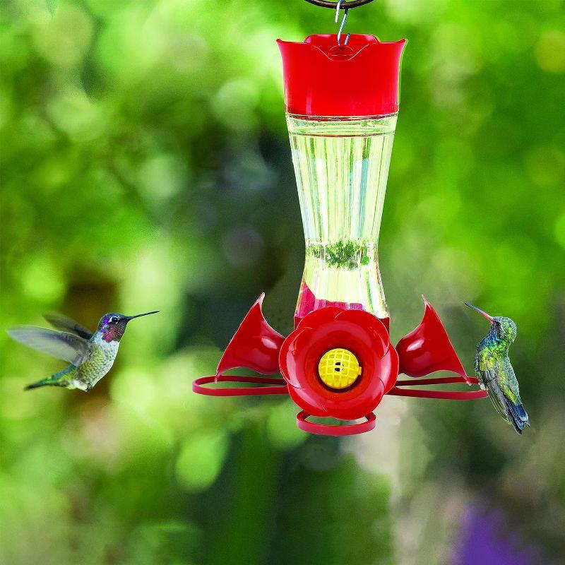 Glass Hanging Hummingbird Feeder