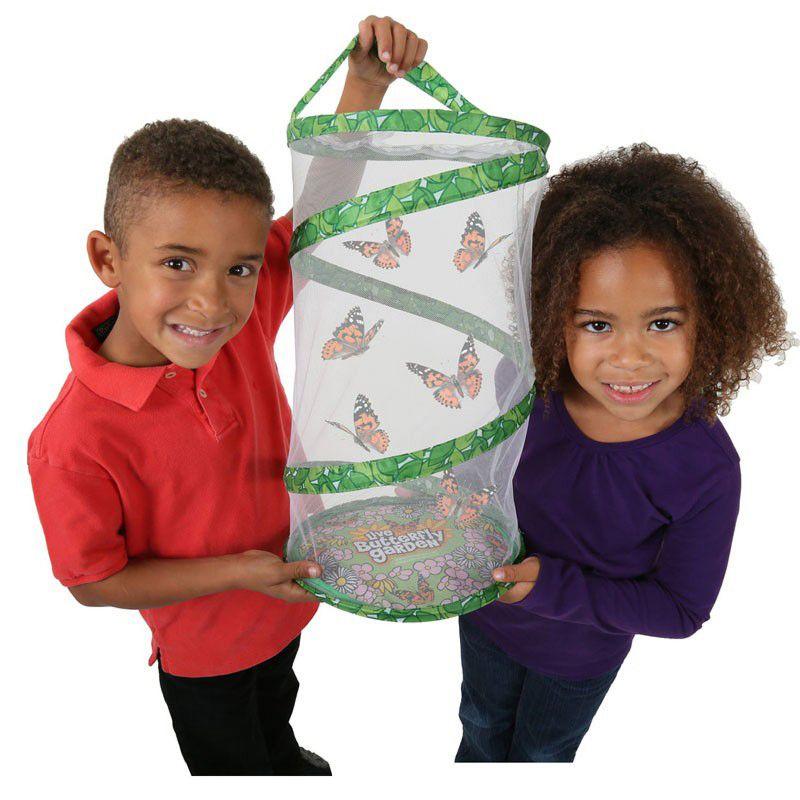 Insect Lore Giant Butterfly Garden® Deluxe Growing Kit - Stem Butterfly Kit w/ Live Caterpillars