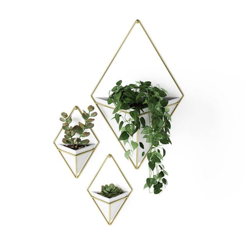 White and Brass Geometric Wall Planter Decor