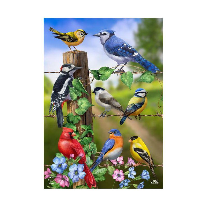 Country Birds Spring House Flag Goldfinches Blue Jay 28" x 40" Briarwood Lane