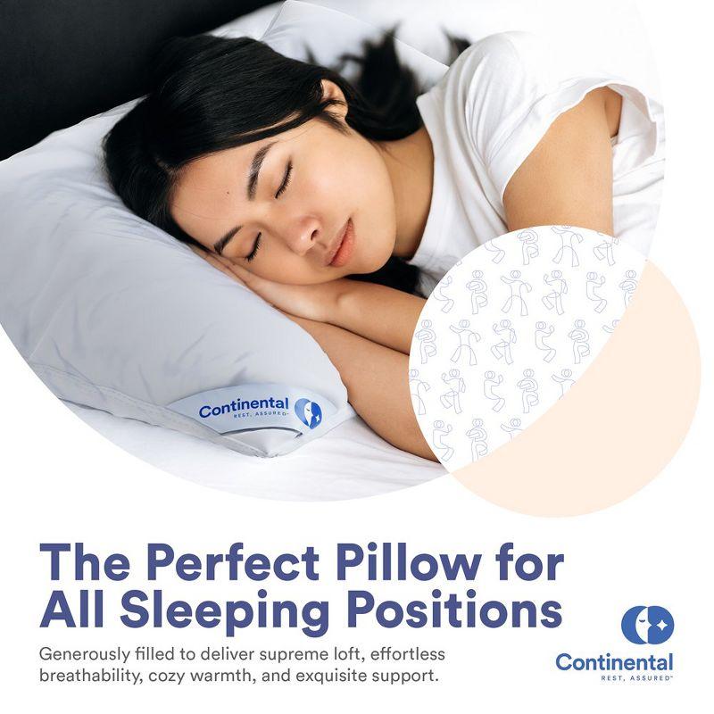 ContinentalBedding Continental Bedding Soft Down Pillows, 2-Pack, 550FP, 75% Down 25% Feather, 400TC 100% Cotton Cover (Set of 2)