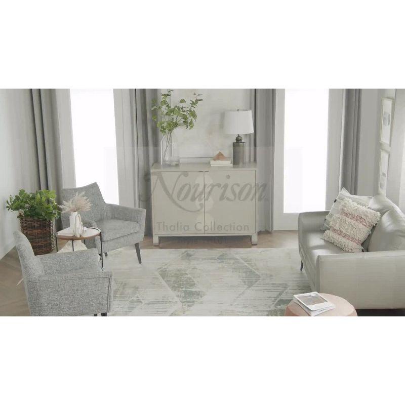 Nourison Thalia Distressed Contemporary Indoor Rug Grey Beige 5'3" x 7'3"