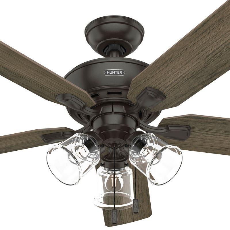 Hunter Fan 52" Rosner 5 - Blade Ceiling Fan With Lights and Pull Chains