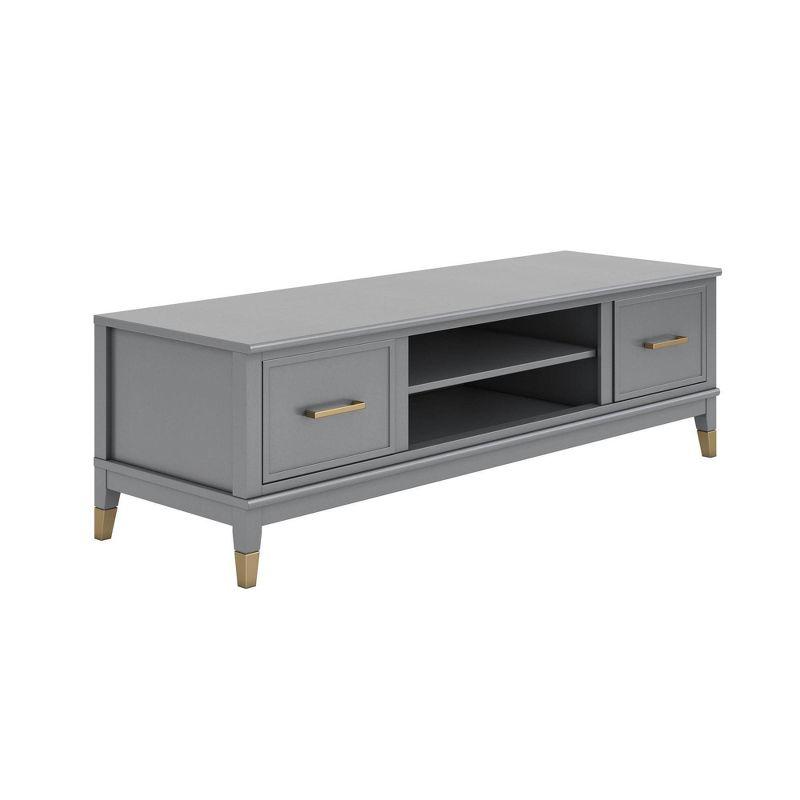 Graphite Gray Engineered Wood TV Stand with Cabinet for 65" TVs