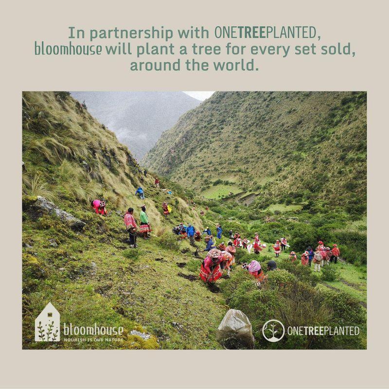 12 - Piece Non-Stick Aluminum Cookware Set