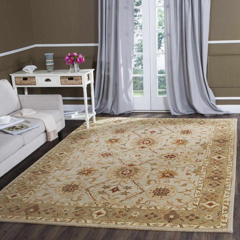 Antiquity AT816 Hand Tufted Area Rug  - Safavieh