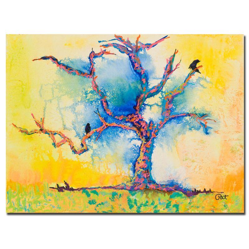 Trademark Fine Art 'Wind Riders' by Pat Saunders-White Framed Painting Print on Wrapped Canvas | Wayfair