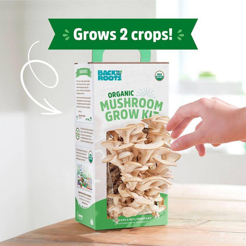 Back to the Roots  Organic Mushroom Grow Kit