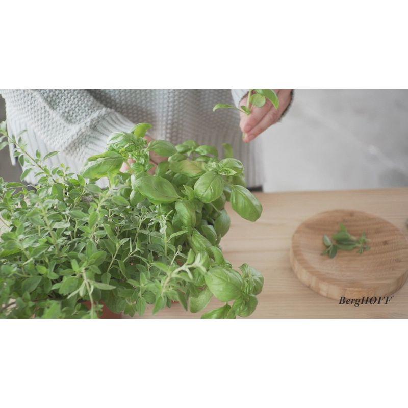 BergHOFF Leo 9" Soft Grip Ginger Grater, Blue