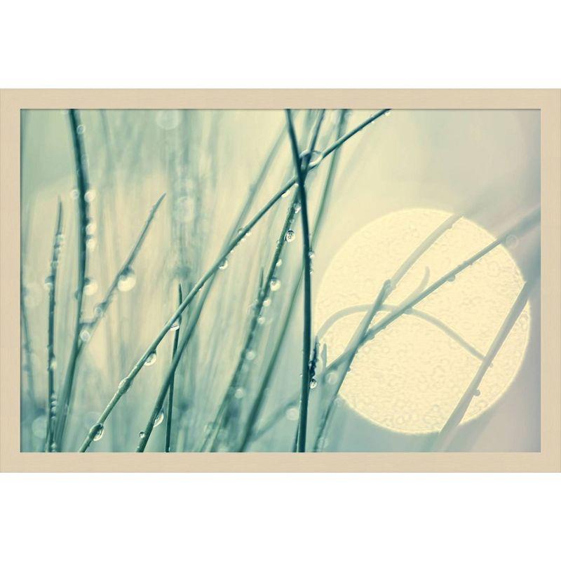 Amanti Art Morning blues by Ingrid Beddoes Wood Framed Wall Art Print