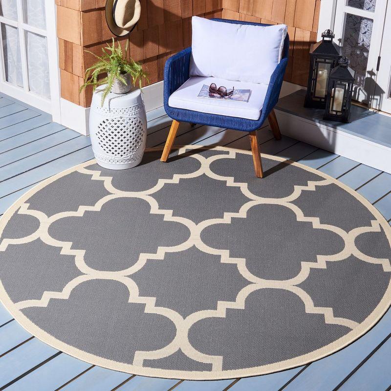 Courtyard CY6243 Indoor/Outdoor Area Rug  - Safavieh