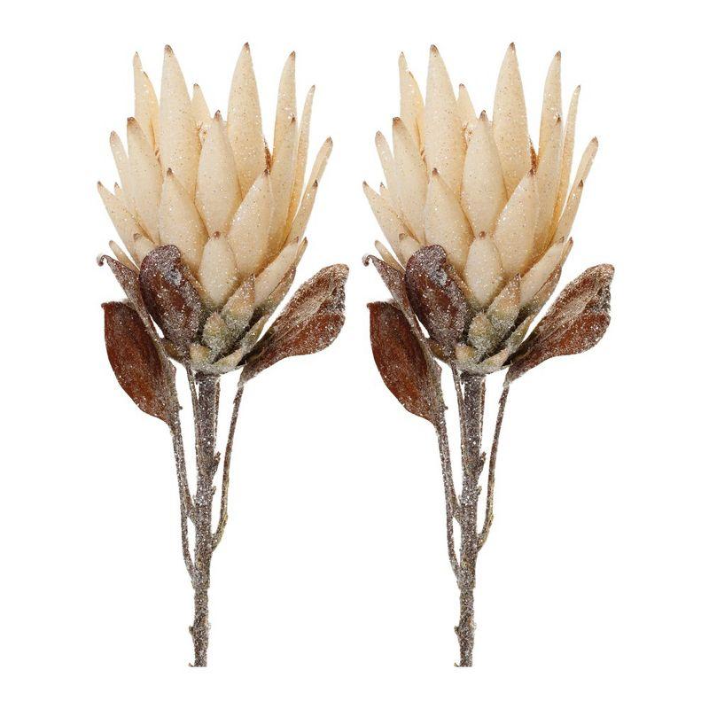 Melrose Protea Flower Stem (Set of 2)