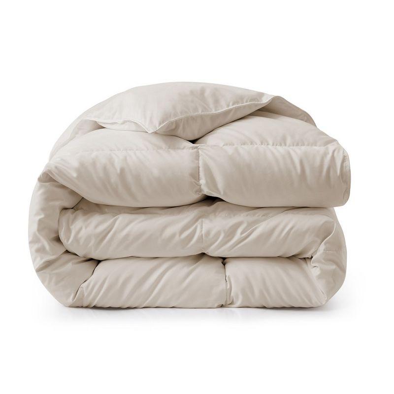 Alwyn Home 600in³/oz Fill Power Winter Goose Down Comforter