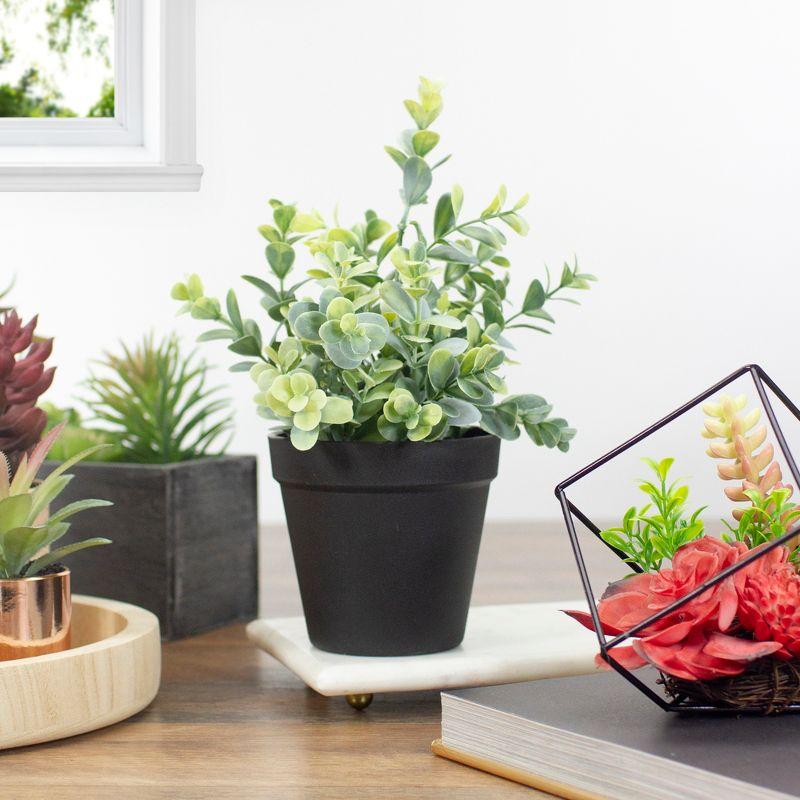 Northlight Seasonal 10'' Faux Melia Azedarach Plant in Pot