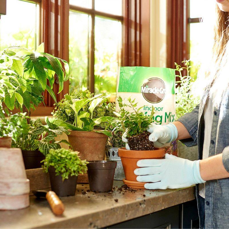Miracle-Gro 6qt Indoor Potting Mix