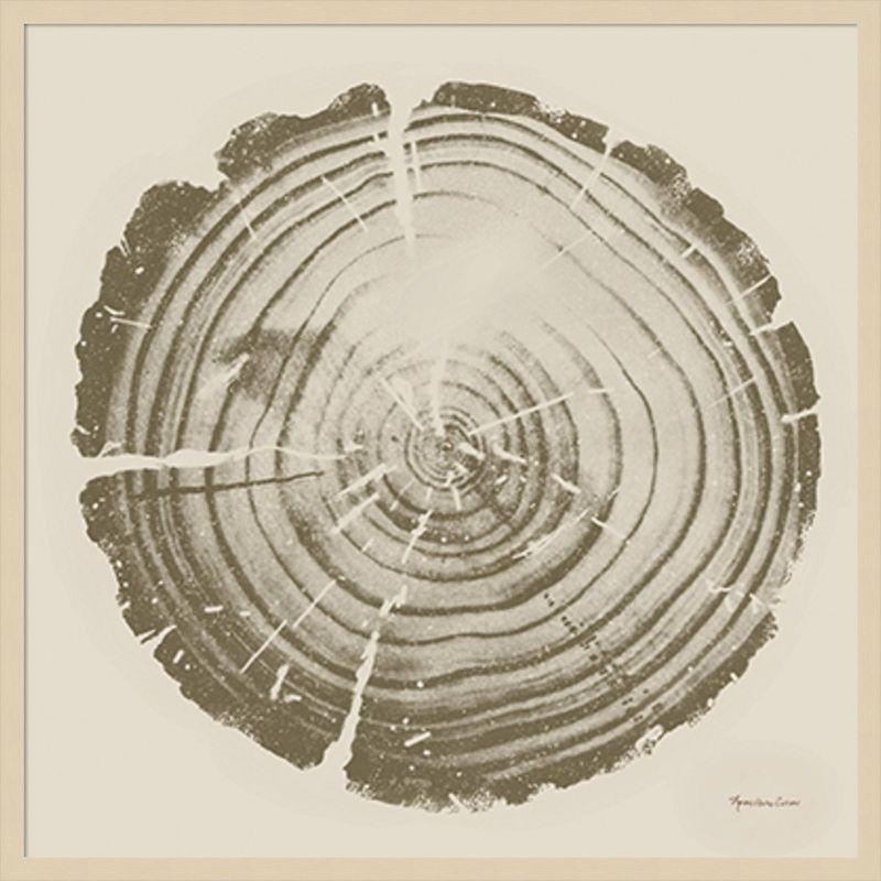 Tree Trunk Cream II Natural Wood Framed Wall Art