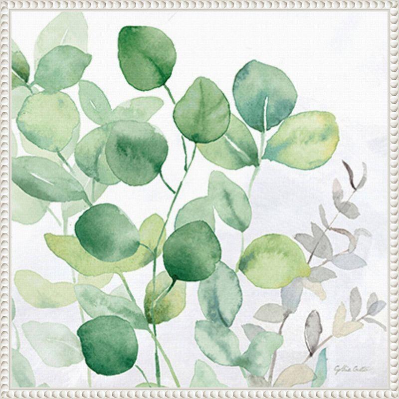 Amanti Art Eucalyptus Leaves II by Cynthia Coulter Framed Canvas Wall Art Print