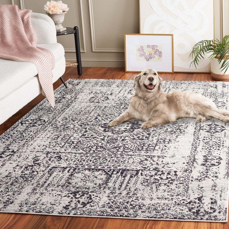 Evoke EVK260 Power Loomed Area Rug  - Safavieh