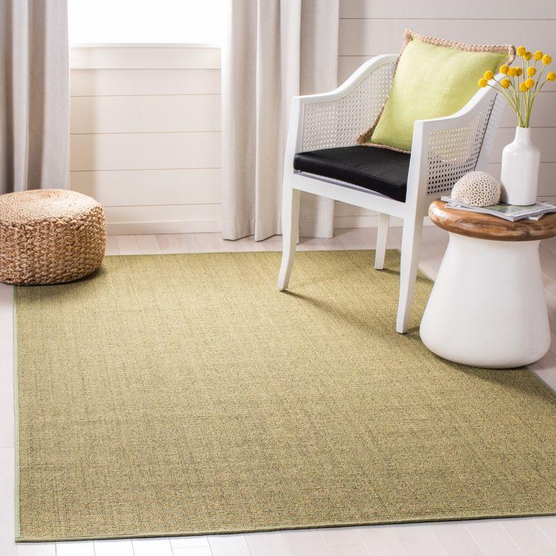Martha Stewart 60% Sisal And 40% Jute Solid Color Rug