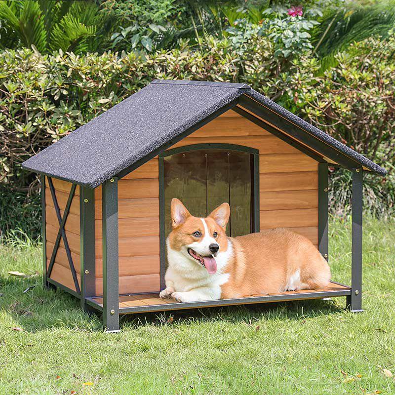 Tucker Murphy Pet™ Schoharie Igloo Style Dog House
