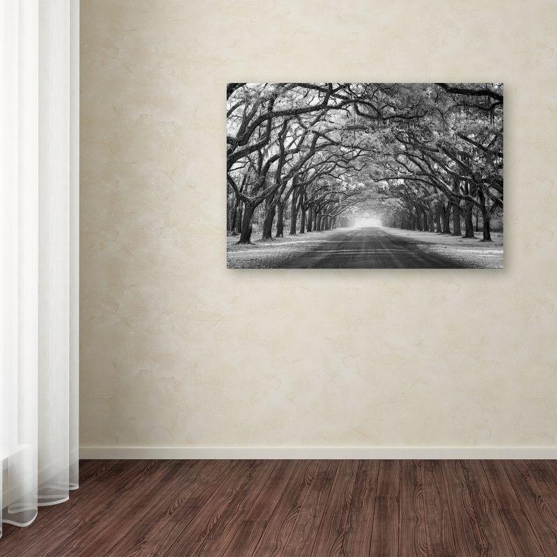 Trademark Fine Art - Mike Jones Photo 'Wormsloe Inf Light' Canvas Art