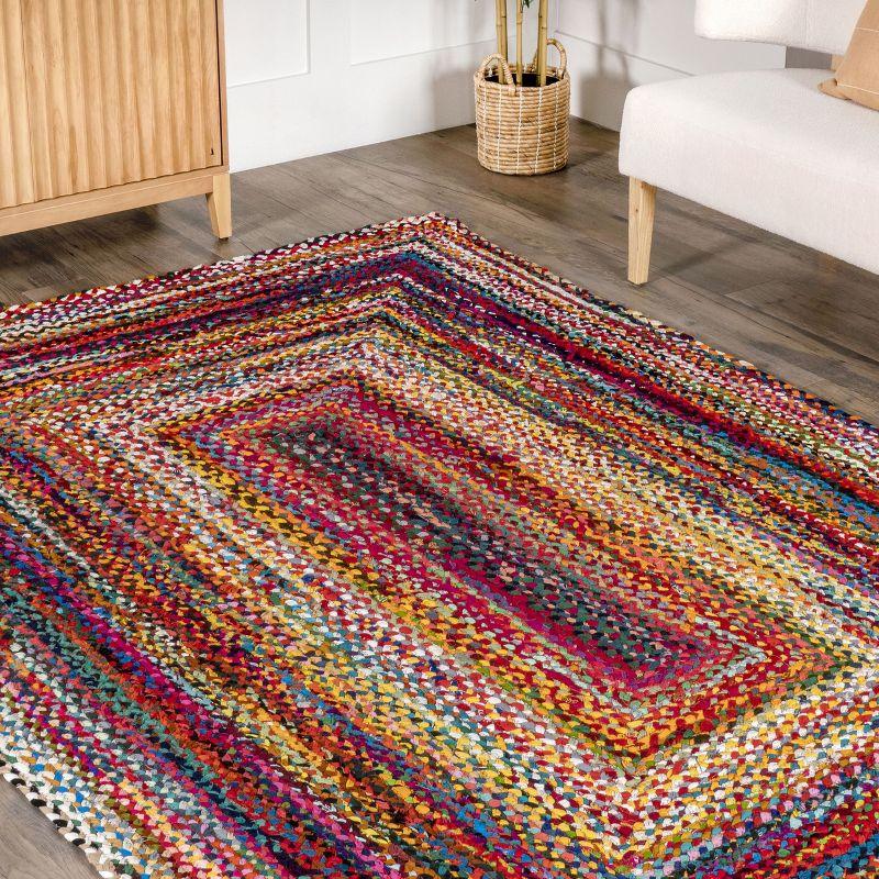 nuLOOM Tammara Bohemian Hand Braided Area Rug