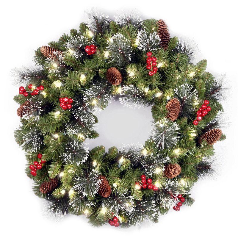 24" Prelit LED Crestwood Spruce Christmas Wreath Warm White Lights - National Tree Company