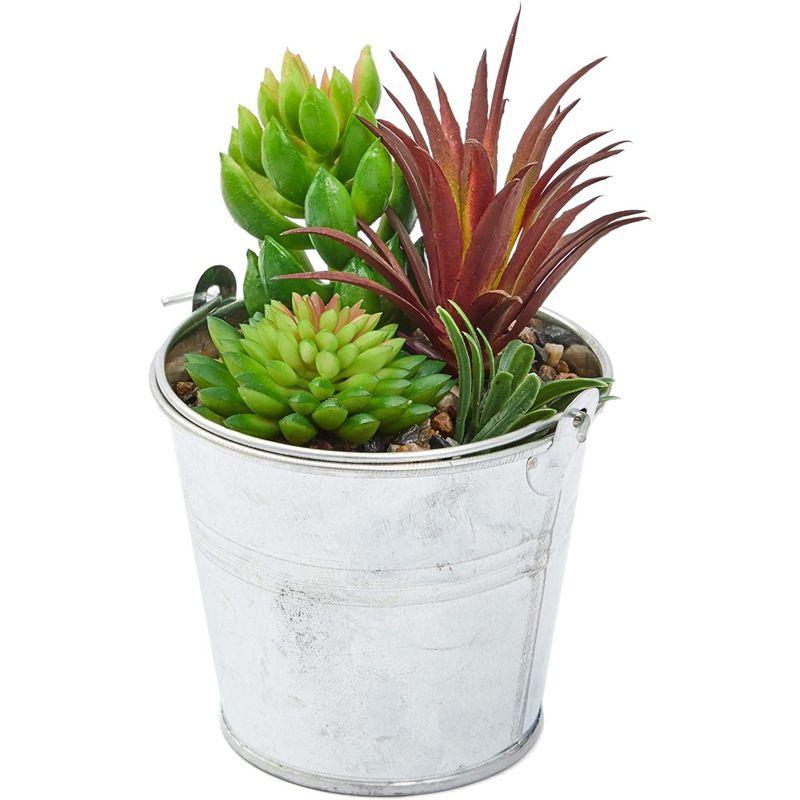 Set of 4 Faux Succulents in Iron Buckets