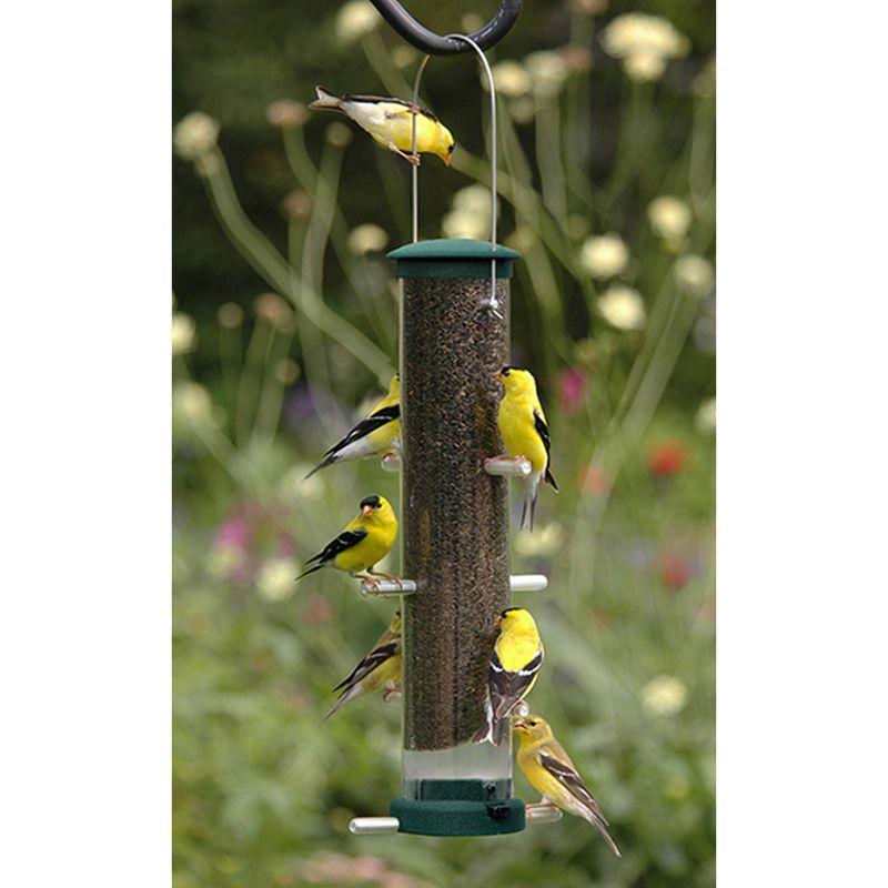 Spruce Medium Metal and Plastic Tube Bird Feeder