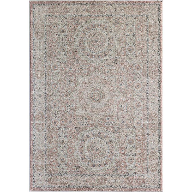 Rugs America Harper Pink Transitional Vintage Area Rug