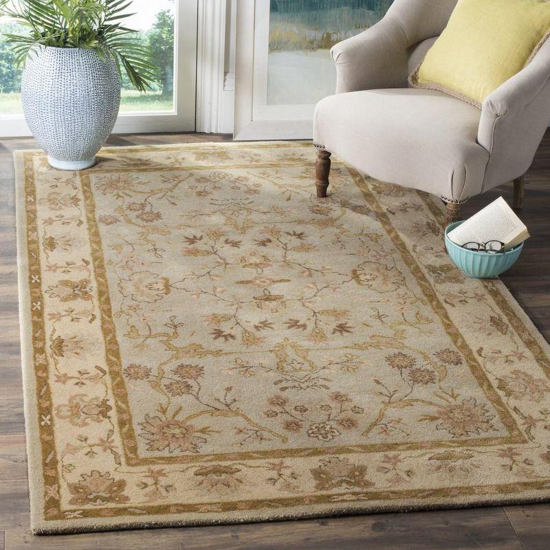 Elegant Antiquity Hand-Tufted Gray Wool Area Rug 4' x 6'