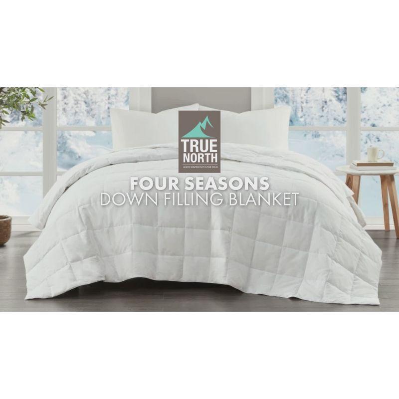 Four Seasons Goose Feather and Down Filling Blanket